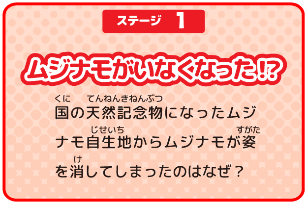 ステージ1 ムジナモがいなくなった
