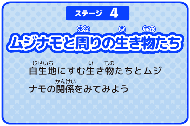 ステージ4 ムジナモと周りの生き物たち