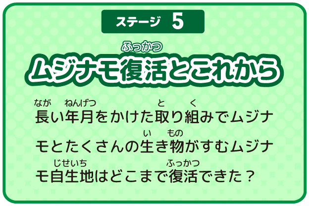 ステージ5 ムジナモ復活とこれから