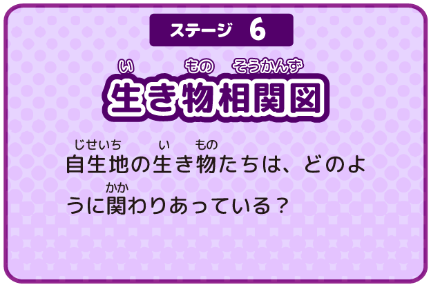 ステージ6 生き物相関図