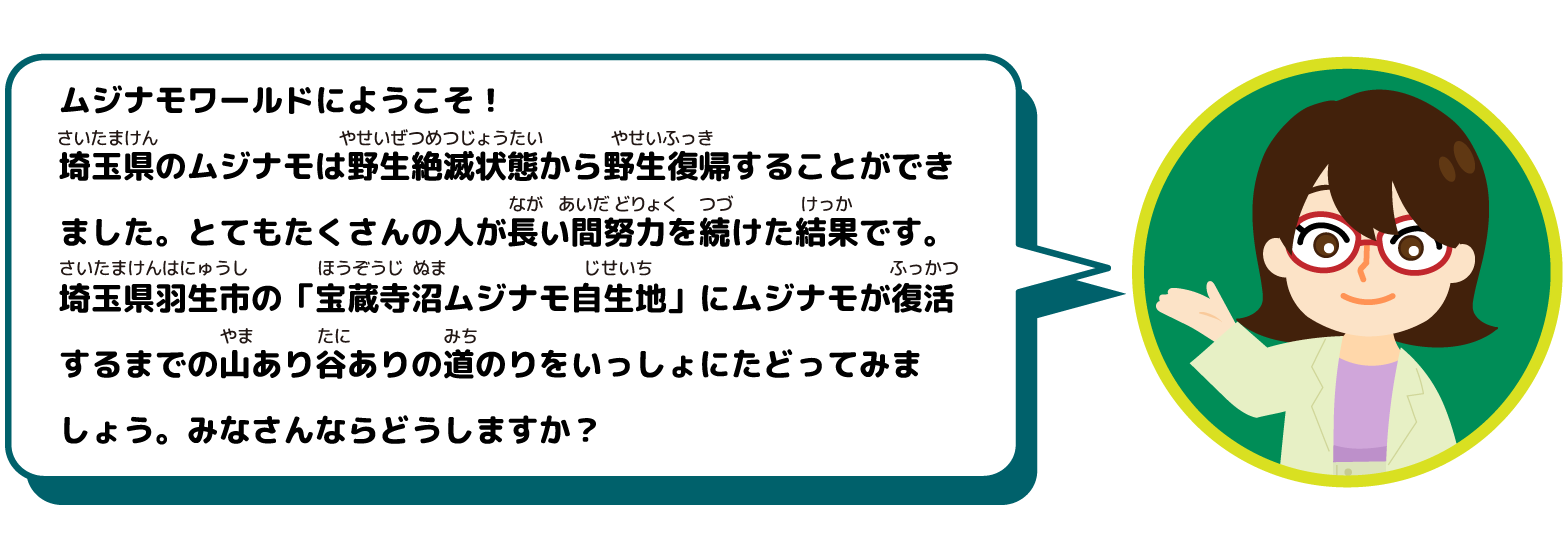 ムジナモワールドへようこそ！ 埼玉県のムジナモは野生絶滅状態から野生復帰することができました。とてもたくさんの人が長い間努力を続けた結果です。埼玉県羽生市の「宝蔵寺沼ムジナモ自生地」にムジナモが復活するまでの山あり谷ありの道のりをいっしょにたどってみましょう。みなさんならどうしますか？